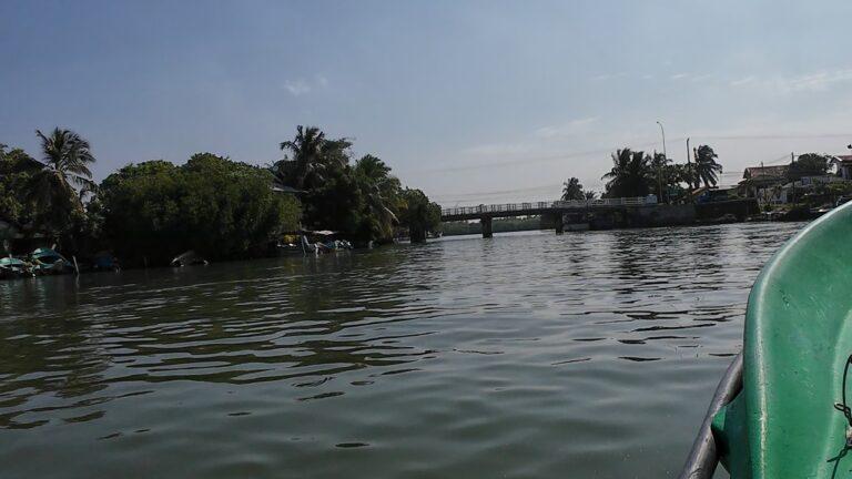 Serene Splendor: Exploring the Enchanting Lagoon of Negombo, Sri Lanka