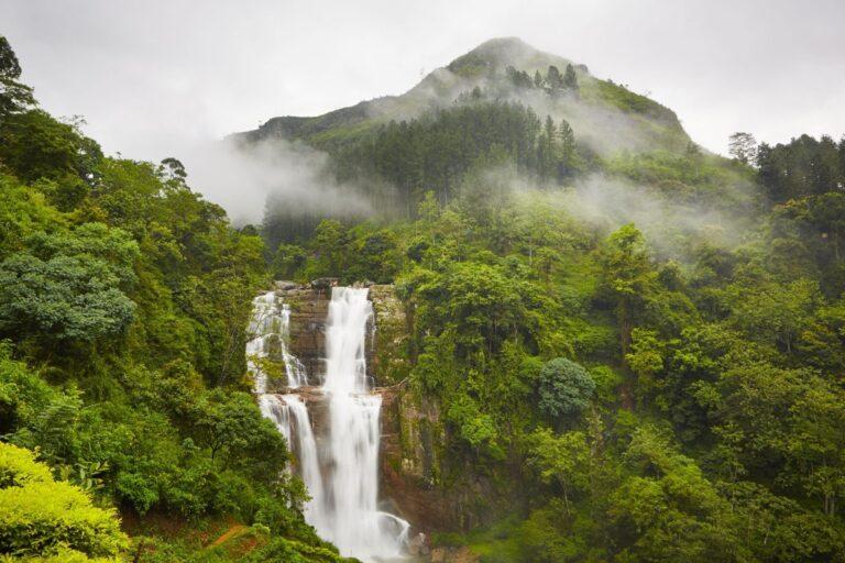 Your Ultimate 7-Day Sri Lanka Itinerary: From Beaches to Tea Country